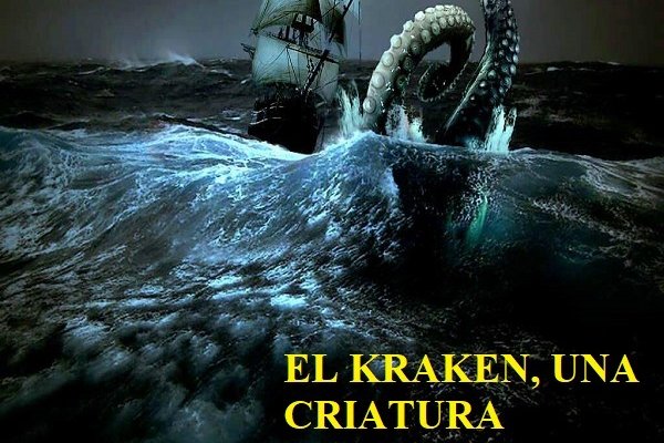 Kraken рынок